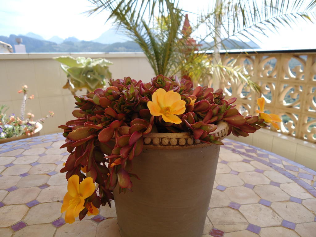 Villa Pico - Charming B&B Sella Exterior foto